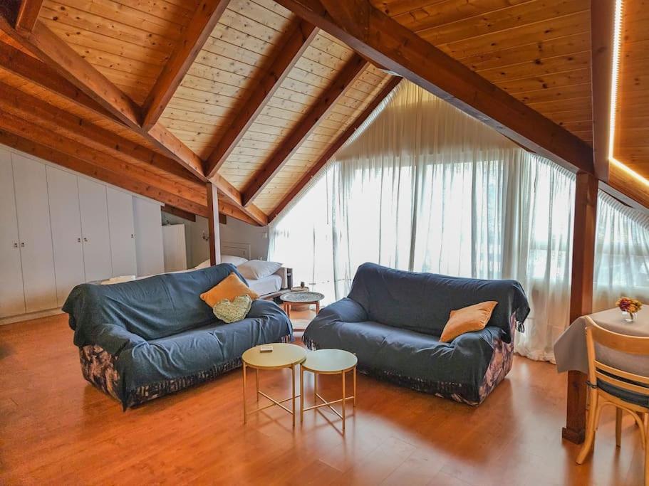 Sunny & Comfy Studio In The Heart Of بريفيزا المظهر الخارجي الصورة
